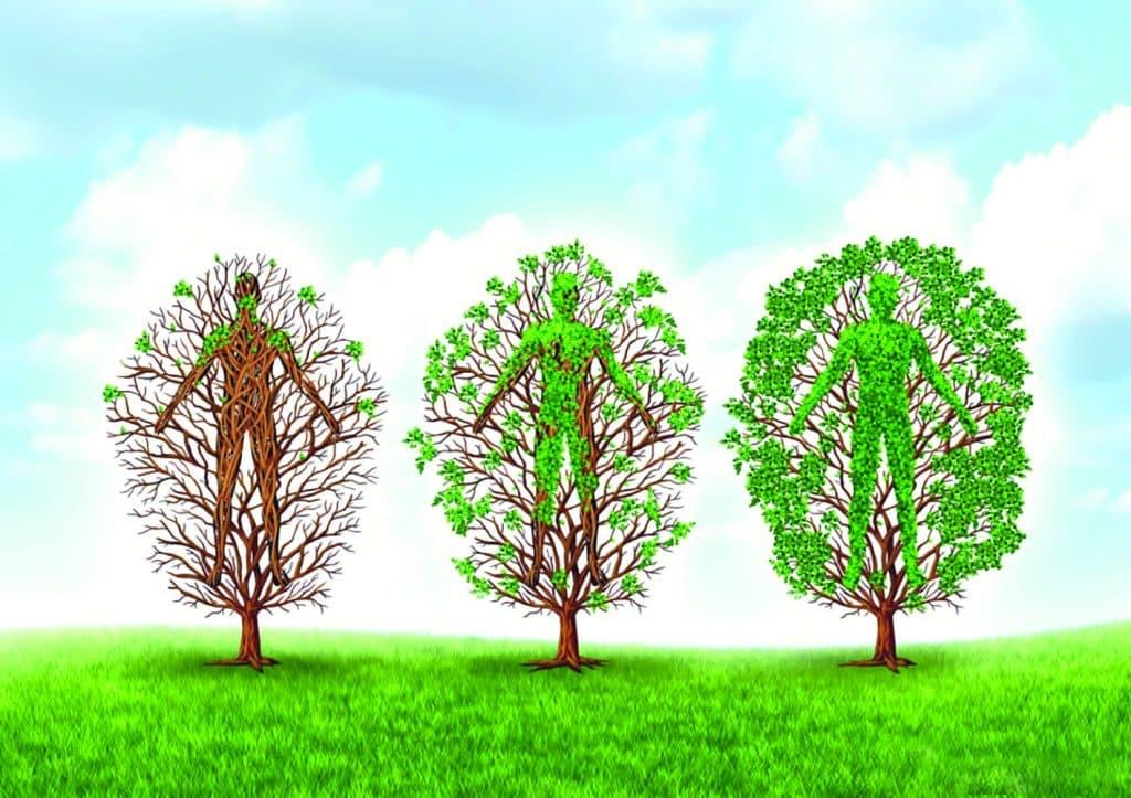 Fantaisie des fleurs flottantes